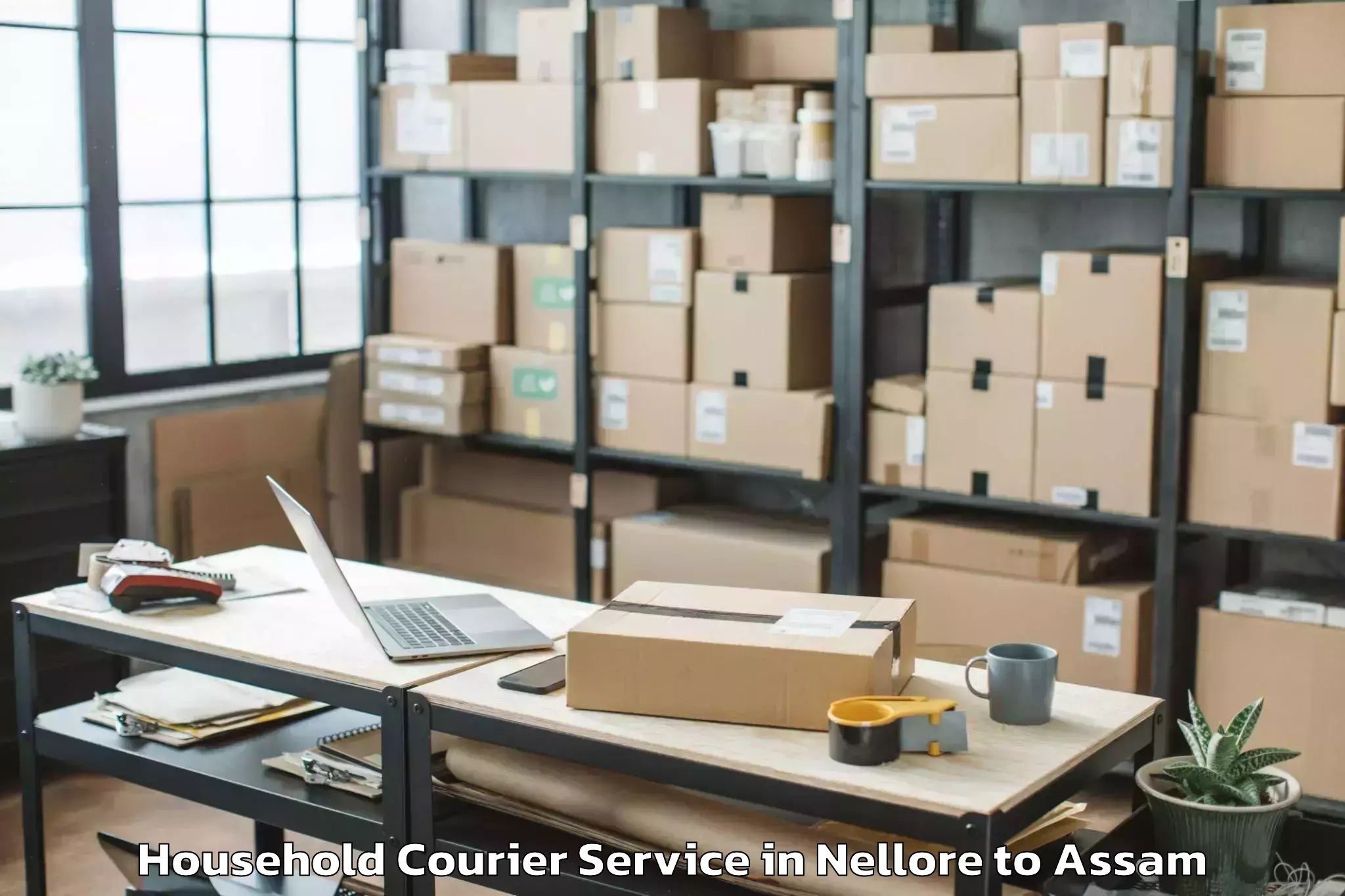 Reliable Nellore to Bamunimaidan Household Courier